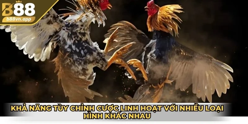 Đá gà Thomo B88 - Nơi tranh tatu của chiến kê dũng mãnh 3 Khả năng tùy chỉnh cược linh hoạt với nhiều loại hình khác nhau
