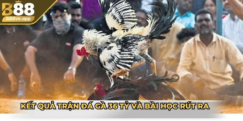 Trận đá gà 36 Tỷ - Sự kiện lừng danh không thể bỏ qua 4 Kết quả trận đá gà 36 tỷ và bài học rút ra